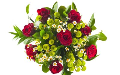 Tropical Interiors Florist