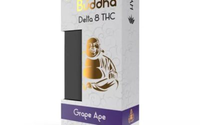 Laughing Buddha